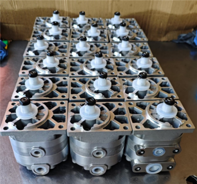 656860.1 Hydraulische tandwielpomp voor Claas-maaidorser